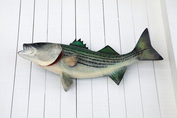 Naklejka premium Fish model on wall.