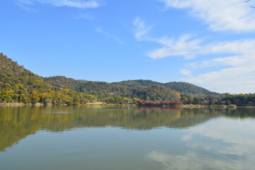 秋の京都広沢の池