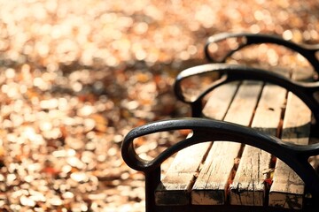 逆光に輝く落ち葉とアイボリーの公園のベンチ