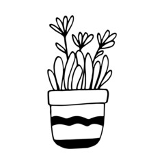 chamomile in a pot icon hand drawn. vector, minimalism, scandinavian, monochrome, nordic. sticker, plant, flower.
