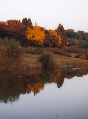 Paisaje otoñal de árboles reflejados en el lago