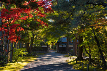 Naklejka premium 秋の日本庭園