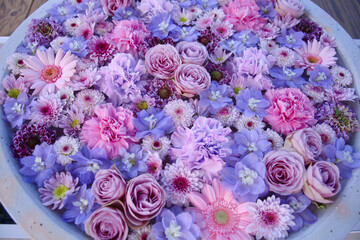 足利市　あしかがフラワーパークの花手水