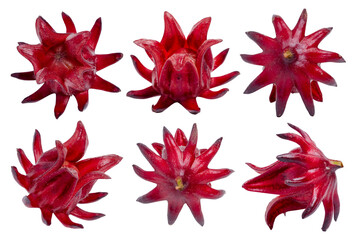 Fresh roselle fruit set on white background.