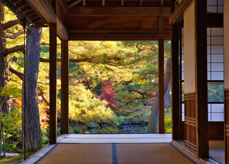 日本家屋　庭園