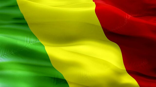 Malian flag. National 3d Mali flag waving. Sign of Malian seamless loop animation. Mali flag HD Background. Malian flag Closeup 1080p Full HD video for presentation. Malian flags for Victory day

