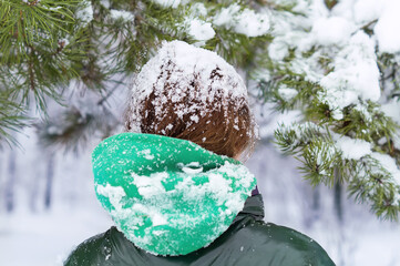 Snowflakes in the hair. Beautiful young woman on a snowy winter day with snow flakes on her hair rear view. A teenage girl under a snowfall. one young girl during a weekend outdoors in a frosty forest