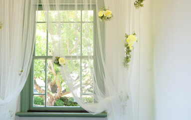 flowers in window