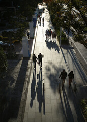 Description: A shaded sidewalk on a sunny day