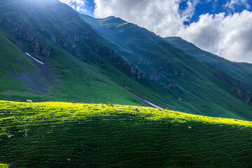 Nalati grassland with mountain scenery in Xinjiang,China.