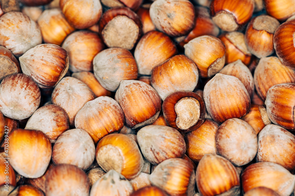 Poster close up hazelnuts. hazelnut composition and backgorund.