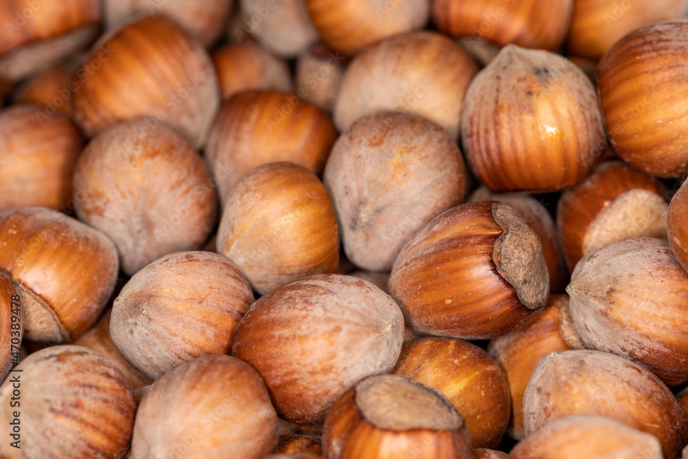 Poster close up hazelnuts. hazelnut composition and backgorund.
