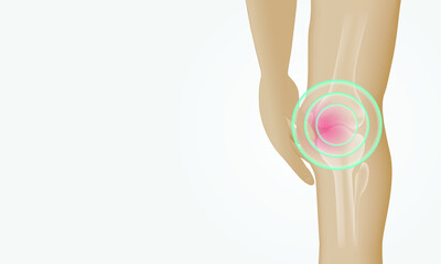 Knee painful on white background. Skeleton x-ray. illustration medical concept.