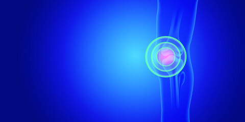 Knee painful. Blue human anatomy of knee. Skeleton x ray on blue background.