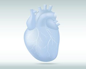 Human heart with vessels isolated illustration on light grey background.