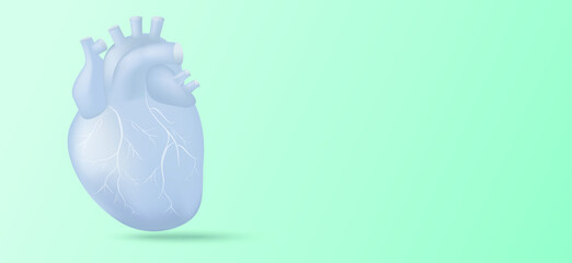 Human heart with vessels illustration on mint background