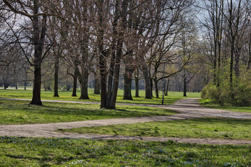 Fototapeta premium Sonnige Parkwege mit langen Baumschatten auf grüner Frühlingswiese im historischen Palmengarten, Leipzig, Kreisfreie Stadt Leipzig, Sachsen, Deutschland