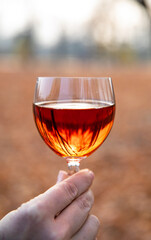 Closeup Image of a Woman's Hand Holding a Glass of Red Wine on Blurred Outdoor Park Background with Copy Space for Your Promotional Text or Advertisement.