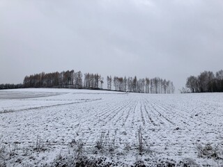 winter landscape with snow