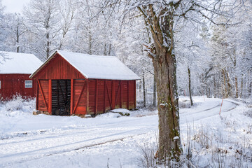 Winter road in the woods by red farm buildings