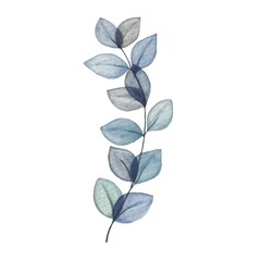 Watercolor translucent leaves botanical illustration. Transparent leaf branch, simplified drawing isolated on white