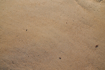 sandy background Flat lay sand sea beach textured backdrop