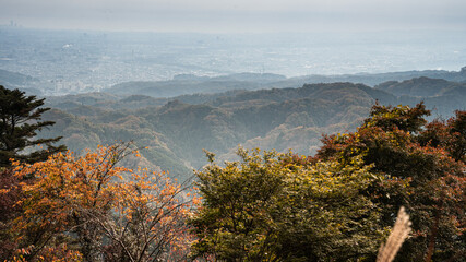 【日本の秋】紅葉　Japanese autumn leaves