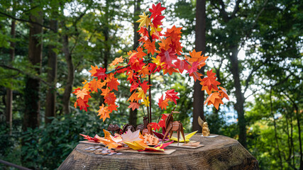 【日本の秋】紅葉　Japanese autumn leaves　日本の景色