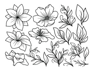 Hand drawn flower sketch line art illustration set.