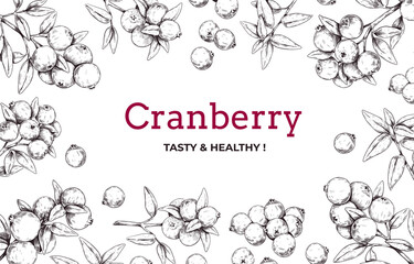 Cranberry framing. Hand drawn background of cowberry engraving sketch for restaurant sweet berry dessert. Horizontal botanical frame circle form, vector outline cranberry illustration