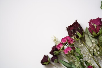 白い床に置かれたドライフラワー