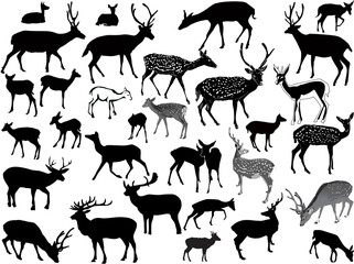 thirty two deers silhouettes isolated on white