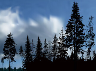 black fir trees forest on blue sky background