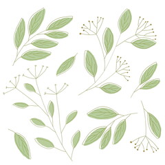 A set of hand-drawn branches and leaves. Elements for creating plant patterns. Collection of green leaves, seeds, branches in simple sketching style.