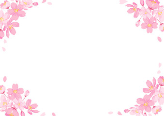 Fototapeta premium Cherry Blossom Frame, Card Design Template, White Background