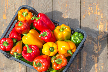 Fresh colorful bell pepper box on wooden table. Top view