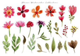 a set of beautiful flower watercolor