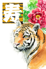 年賀用素材アナログ水彩虎の顔と冬の花赤の牡丹