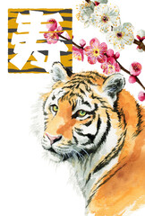 年賀用素材アナログ水彩虎の顔と冬の花紅梅白梅