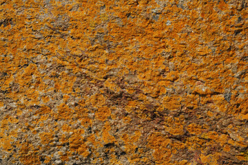 Colorful stone surface. Abstract nature background for design. Graphic element