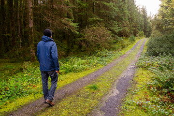 Fototapeta premium Man walking on a small road in a forest. Fresh air and healthy habit concept. Man dressed in blue jacket and jeans and black hat. Outdoor activity concept.