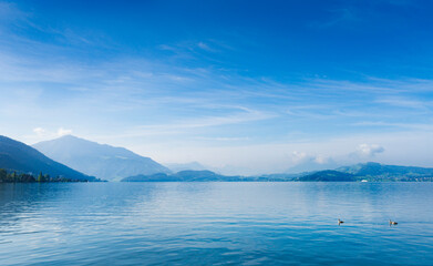 View of Lake Zugersee in the Swiss town of Zug at sunrise in shades of blue with calm water and few clouds in the sky. With the Alps in the background.