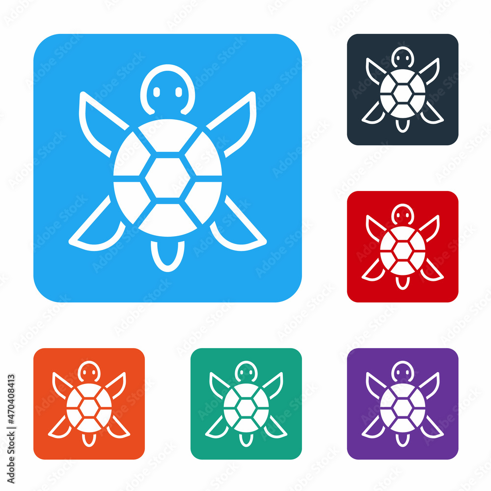 Poster white turtle icon isolated on white background. set icons in color square buttons. vector