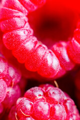 Macro of ripe red raspberry. Food background. Close-up.