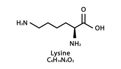 Lysine molecular structure. Lysine skeletal chemical formula. Chemical molecular formula vector illustration