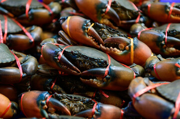 Mud crabs prepare to sell on the market