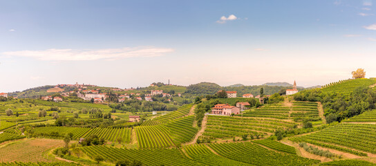 Goriska Brda a famous wine region of Slovenia located near Italy with the villages Smartno and Dobrovo. Sunrise and sunset looking over vineyards. - obrazy, fototapety, plakaty