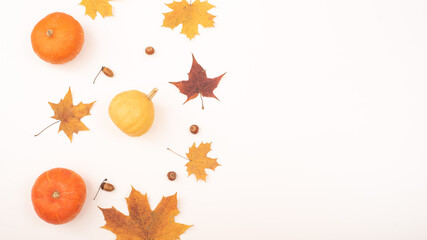 Autumn flat lay. Maple leaves, pumpkins and acorns on a white background. Copy space