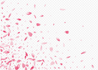 Pink Blossom Vector Transparent Background. Tree