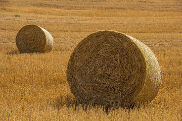 2 hay bales in a field, harvest time, summer harvest, wheat harvest, Velddrif, St Helena Bay, South Africa © Kate